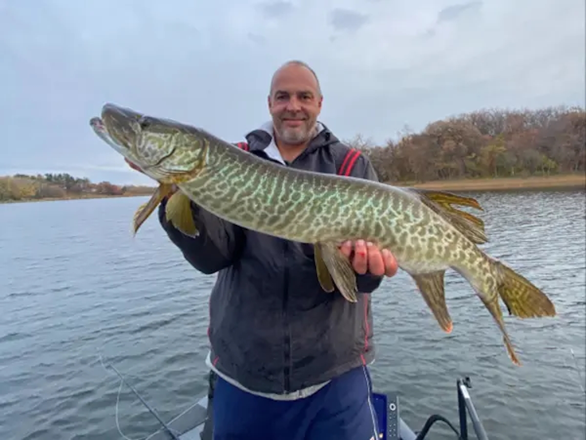 Chasing Metro Muskies